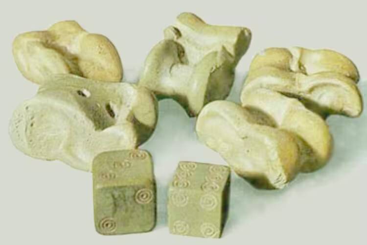 aşık kemiği